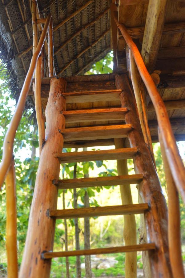 Apartament Pidurangala View Treehouse Sigirija Zewnętrze zdjęcie