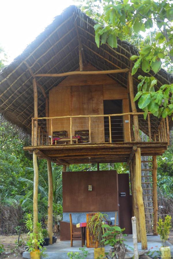 Apartament Pidurangala View Treehouse Sigirija Zewnętrze zdjęcie