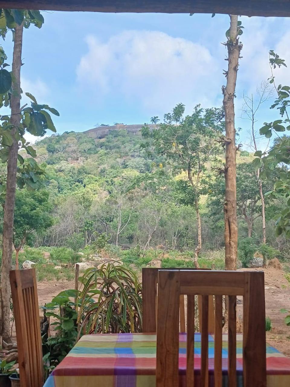 Apartament Pidurangala View Treehouse Sigirija Zewnętrze zdjęcie