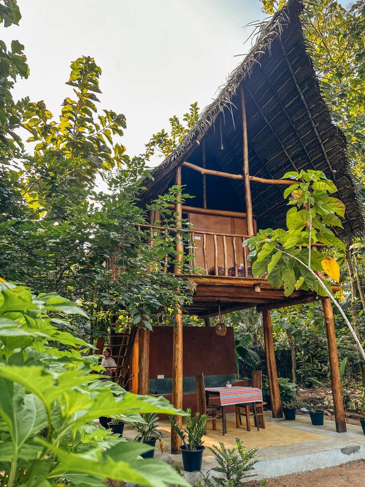 Apartament Pidurangala View Treehouse Sigirija Zewnętrze zdjęcie