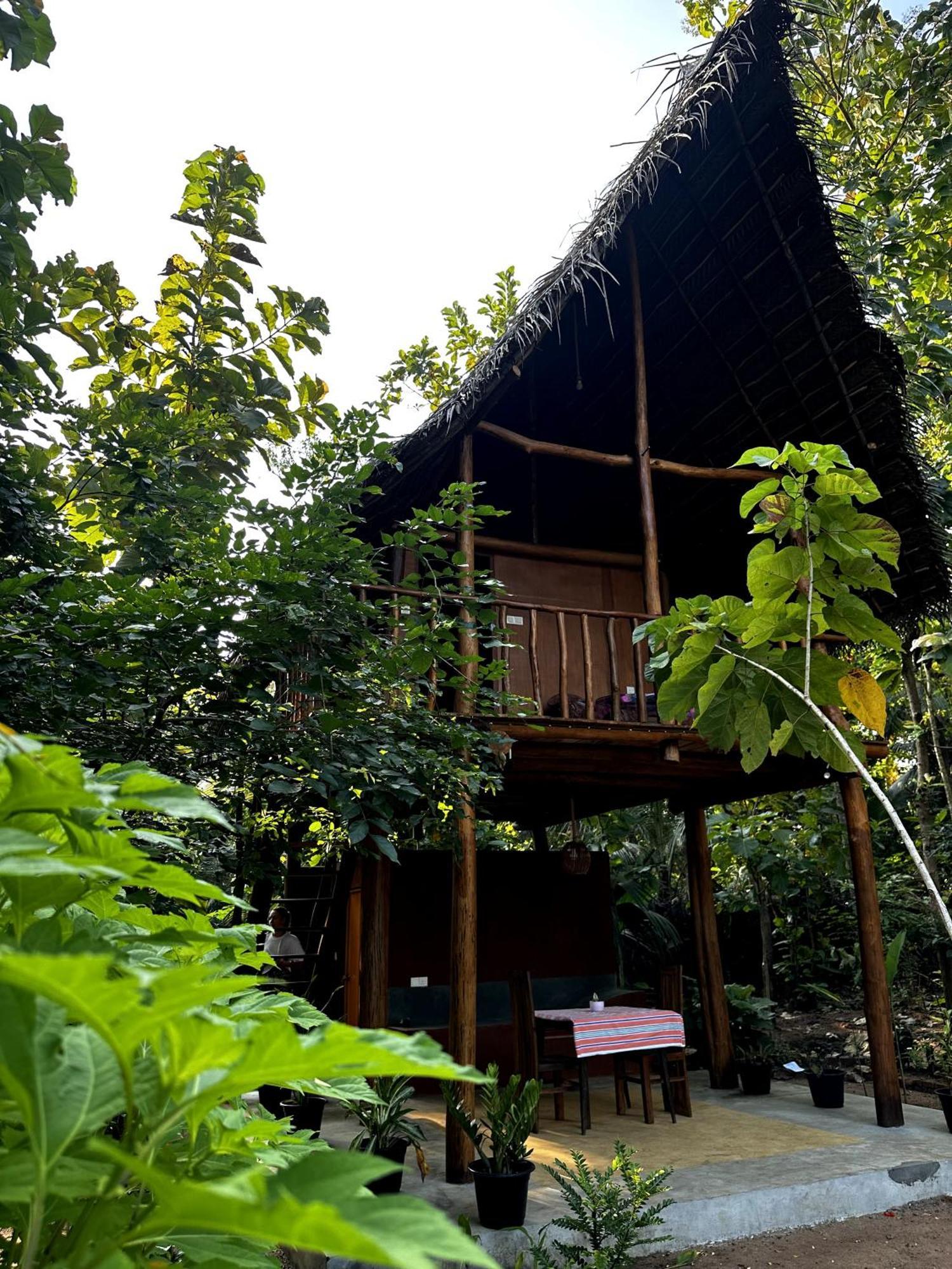 Apartament Pidurangala View Treehouse Sigirija Zewnętrze zdjęcie