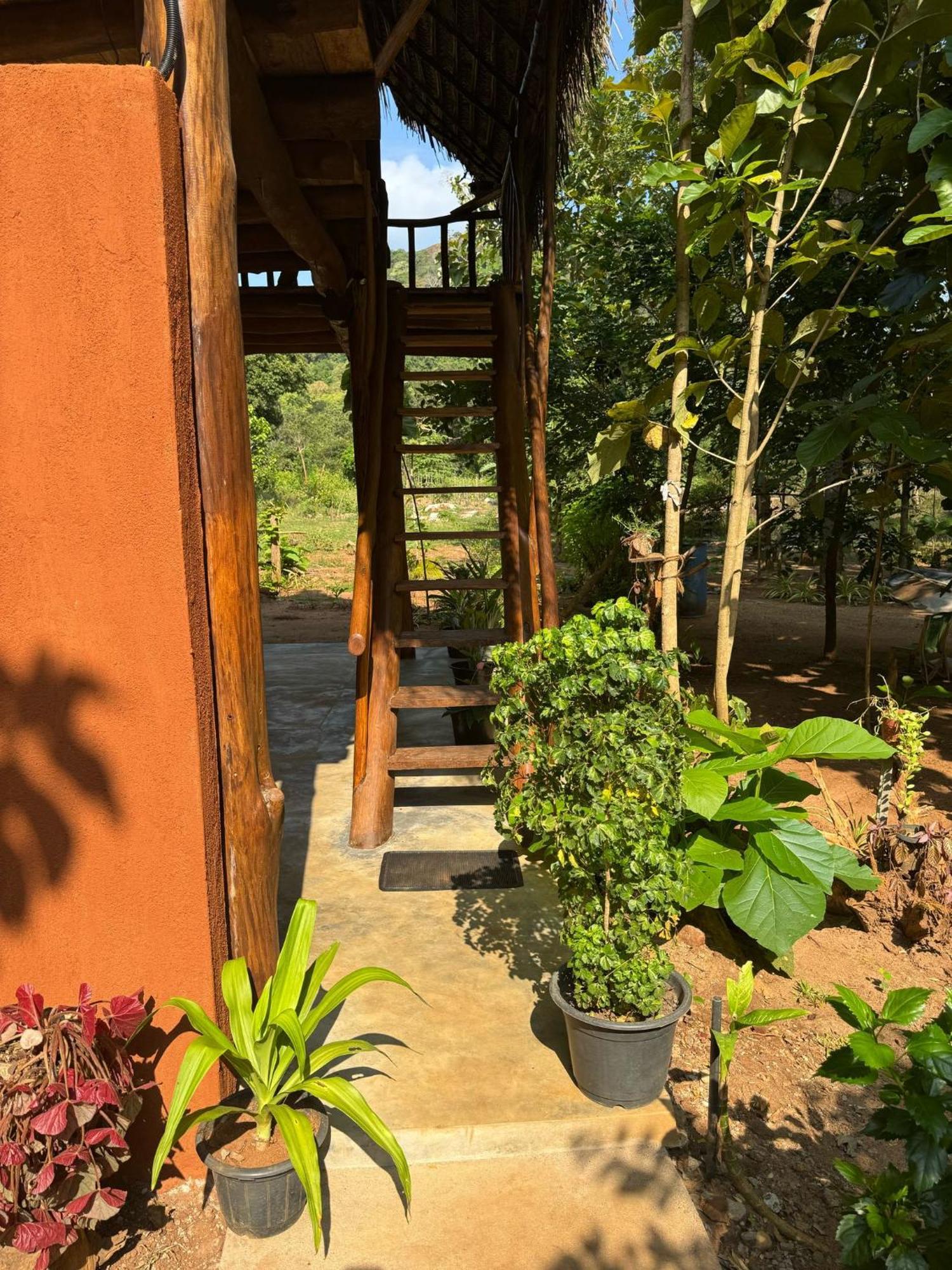 Apartament Pidurangala View Treehouse Sigirija Zewnętrze zdjęcie